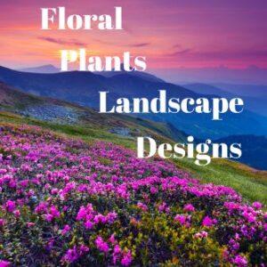 Floral/Plants/Landscapes